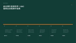 ODI备案全流程指南